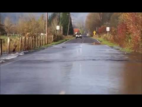 حنا متعودين على احذر امامك معبر جمال او معبر حيوانات لكن احذر امامك معبر اسماك هذه جديده س