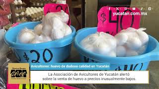 Avicultores alertan por la venta de huevo de dudosa calidad en Yucatán