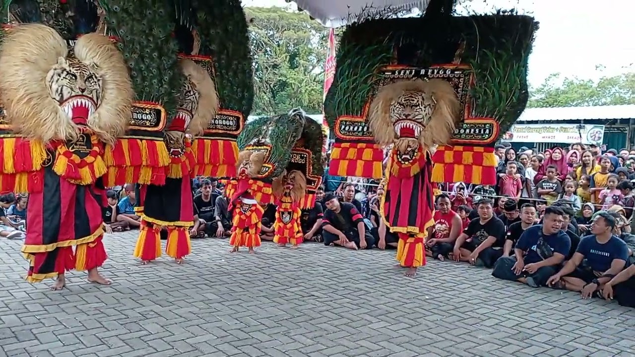 Solah Dadak Merak di Ultah S.T.Candra Waskitha (11 Juni 2023)