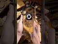 Identifica Tu Moneda en Segundos