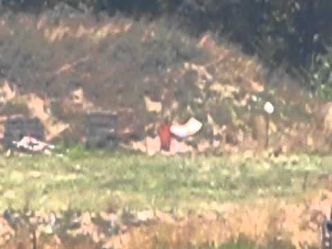 Suppressed .308 at 700 yards