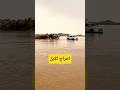 معاناة وبطولة أهل البل في مواجهة الأمطار والسيول     نجومي