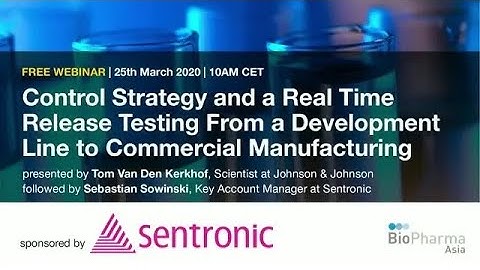 Control Strategy and a Real Time Release Testing From a Development Line to Commercial Manufacturing