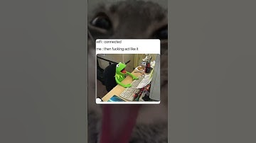 Day 3 posting memes until I hit 1M subs