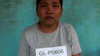 Domestic Helper GL-P0806