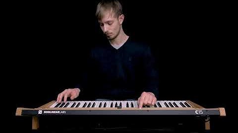 Nonlinear Labs C15 - Mammoths