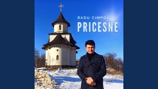 Cercetați Scripturile