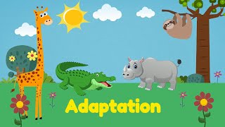 Adaptation  Science for Kids | @PrimaryWorld