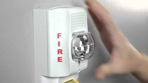 Dual Strobe Plate - Human Factors