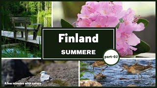 Summer Nature in Finland | Finland summer