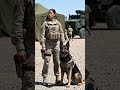 K9 Dog Saves a Soldier | Unbreakable Bond #Shorts #military #army #trending #truewarriors