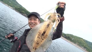 アウェイで連発！初夏イカ攻略in平戸　後編