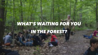 Elements of Camp: FOREST