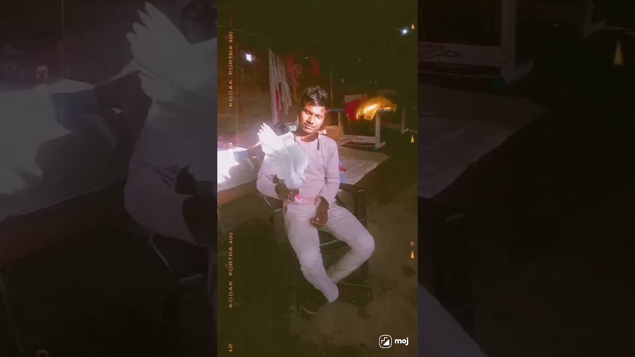 Hiihi
