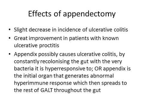 Physiology of the Appendix - YouTube