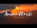 Anima christi  liezel garcia