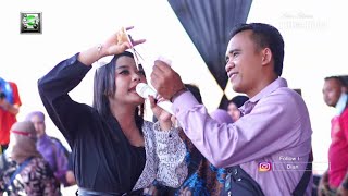 Bos Cucut & Bos Ayam Putih