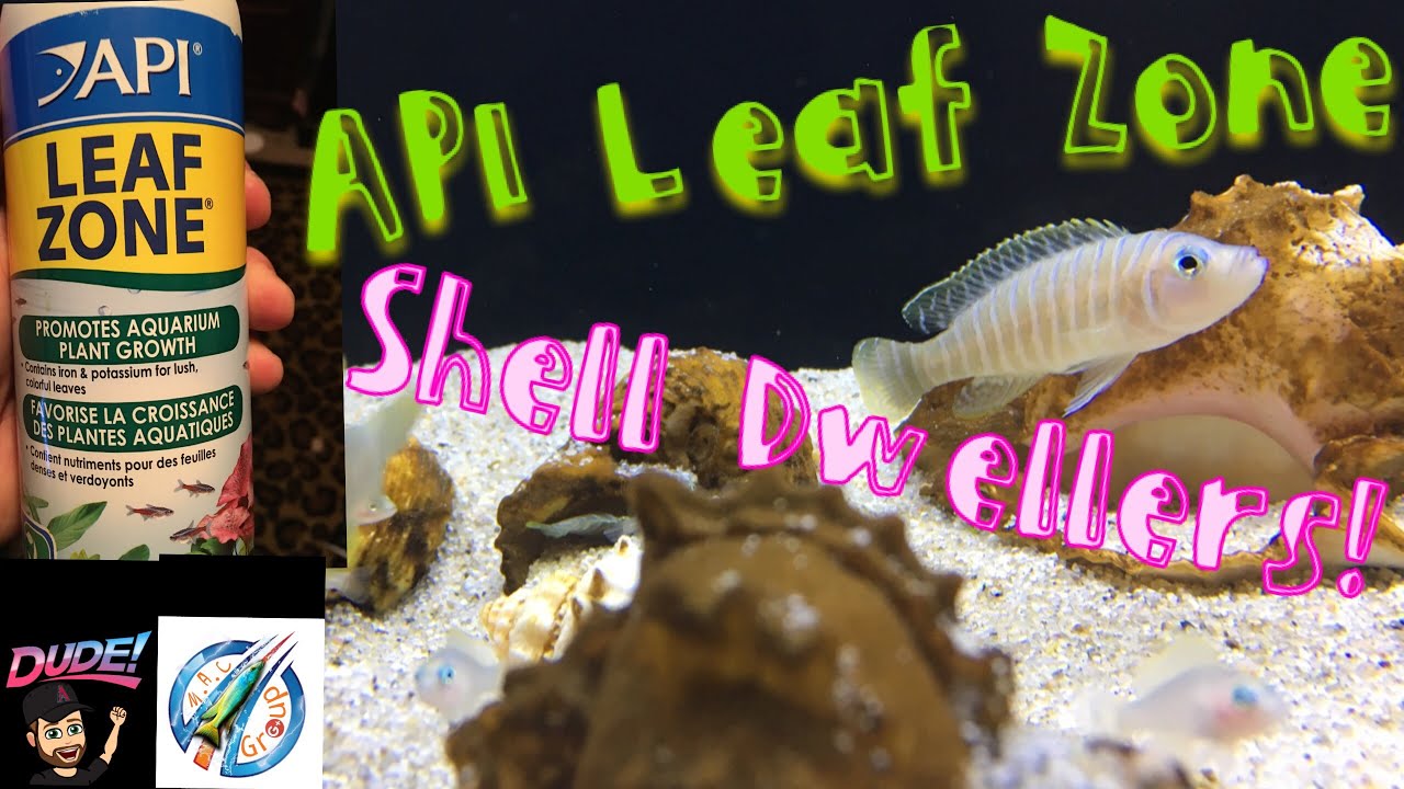 is api leaf zone safe for shrimp