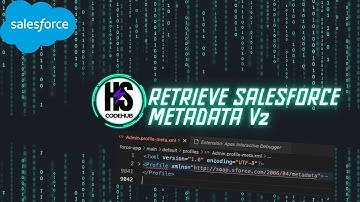 How to Retrieve Salesforce Complete Metadata V2