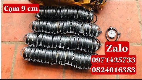 Cạm 9 cm giá rẻ chuyên dùng đánh chuột đồng  và những con thú dưới 2 kg các bác tham khảo 0971425733