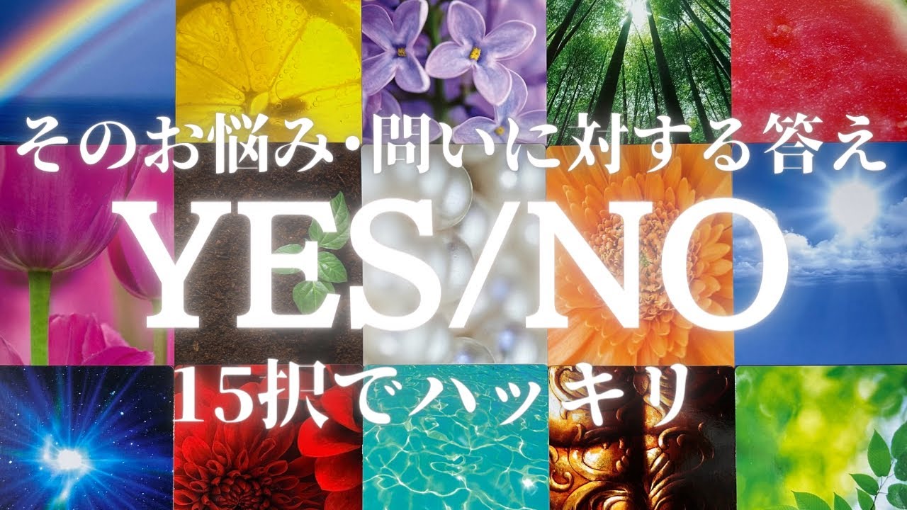 【YES/NO‼️15択ハッキリ】そのお悩み、気になること、問いに対する答え。