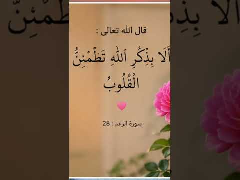 لا تتجاهل القرأن الكريم 🤲🏻 حط لايك واشتراك وانشرها فالدال على الخير كفاعله 🤲🏻♥️🇩🇿