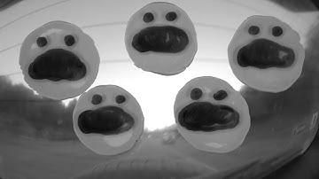 Tomahawk "Predators and Scavengers" (Official Video)