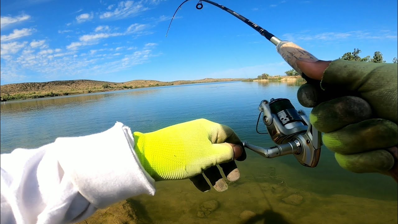 lake Skinner lake not shore “freindly” loss big bass lake “Bushwacked”