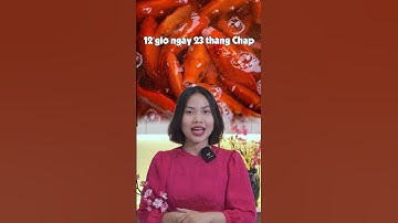 Thả Cá Chép Như Thế Nào Mới Đúng? #shorts