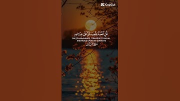 ياسر الدوسري تلاوة خاشعة مؤثرة مبكية #المصحف #اكسبلور  #القزابري #الرحمن #holyquran #elmulquranعلم