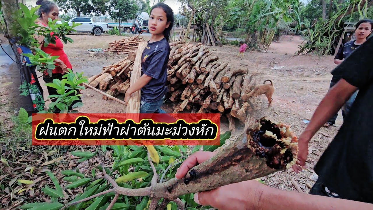 เกิดเหตุฟ้าผ่าข้างรถบ่าวบุญที่บ้านน้องใจดี 3 มีนาคม ค.ศ. 2026