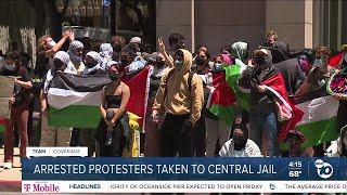 Protesters rally in downtown after dozens arrested at UCSD