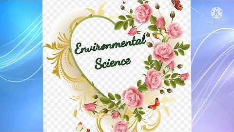 Class 4. EVS. Chapter 4. Wonder World of Birds. part 2.