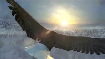 assassins creed 3 trailer