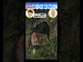【ドッキリ】アイドルがゾンビと幽霊に挟まれ絶叫【本編は毎週月・水・金１２時投稿】