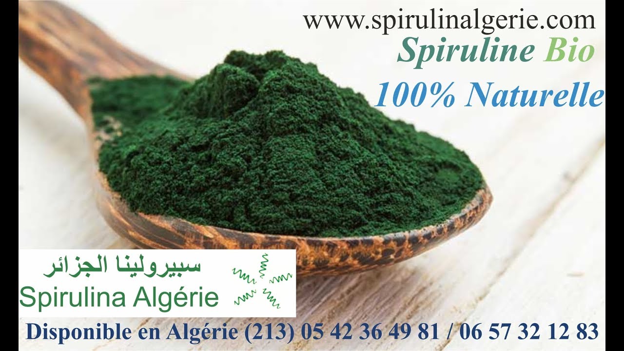 Spiruline en Algérie سبيرولينا الجزائر YouTube
