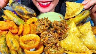 ASMR PAKODA FEAST! ONION, ALOO, MIRCHI, SAMOSA, BAINGAN, CARROT, ZUCCHINI MASSIVE Eating Sounds