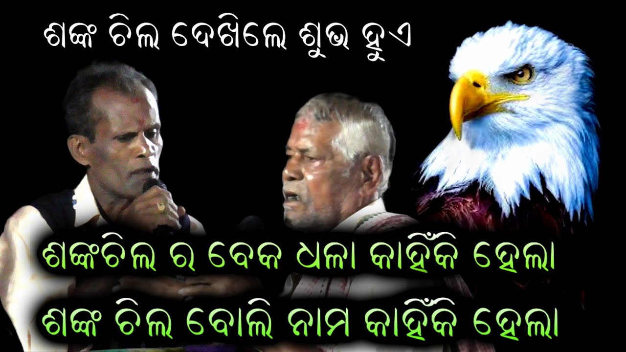 ଶଙ୍କ ଚିଲର ବେକ ଧଳା କାହିଁକି ହେଲା।GahaniGanti।Odia GahaniGanti।Gahan Prashna Uttara @RKstudiopage