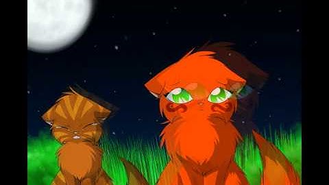 Wine Red - Warriors MAP parts 10 & 11