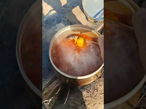 ا آشپزی روزمرگی اکسپلور مامان فاطمه هستم آشپزی در مزرعه زعفران لطفا نظر بدین لایک و کامنت بزار