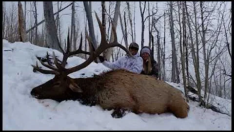 396" Utah Elk Governors Tag - Kaden Richard - MossBack