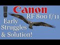 Canon RF 800mm f/11 Early Struggles & the Solution!   4K