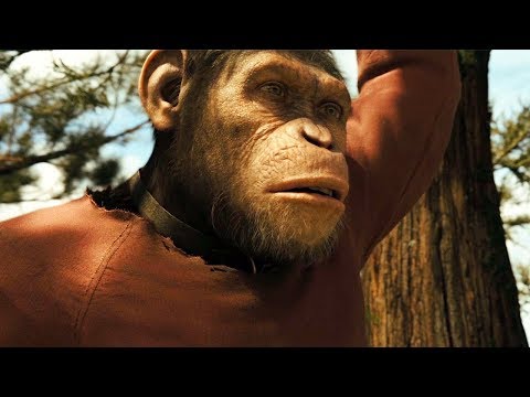 Caesar Growing Up Scene - Rise of the Planet of the Apes (2011) Movie Clip HD