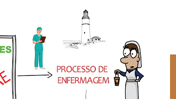 Por que a implantação da SAE é fundamental para o exercício profissional de enfermagem e para os serviços de saúde?