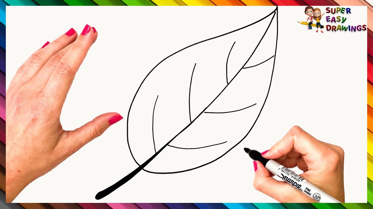 How To Draw A Leaf Step By Step  Leaf Drawing Easy - YouTube