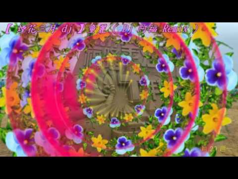 【 煙花三月 dj 】童麗  ( DJ 阿福 ProgHouse Remix )