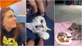 Unusual Memes Compilation V6 #Memes #Compilation #Funnyvideo #Funnymemes #Trending