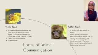 BIO661 ANIMAL COMMUNICATION VIDEO ASSIGNMENT