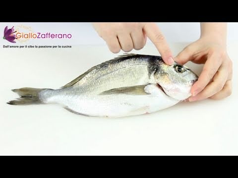 How to clean and fillet a round fish - cooking tutorial - YouTube