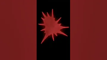 Hunter X Hunter قتال جون ضد بيتو 